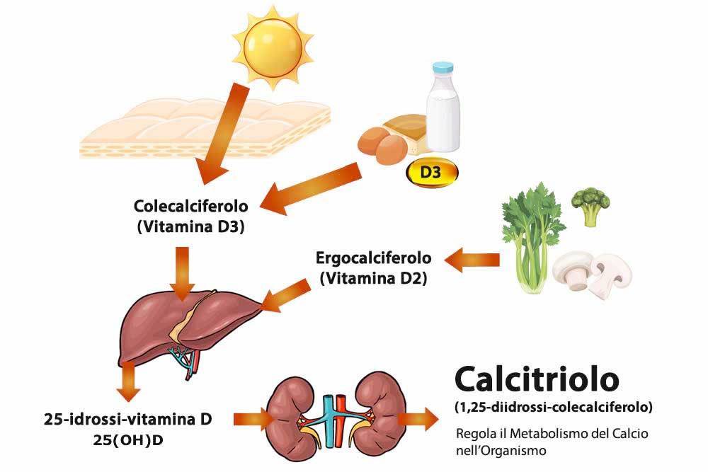 vitamina d