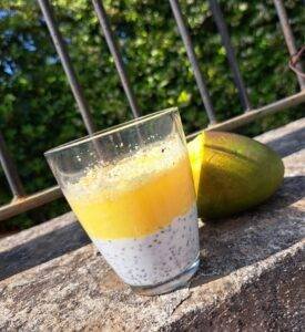 chia pudding al mango